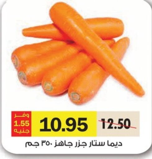 Carrot