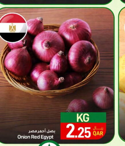  Onion  in ســبــار in قطر - الخور