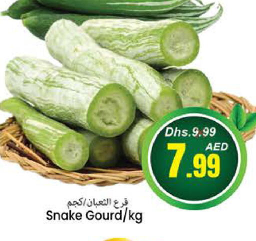  Gourd  in PASONS GROUP in UAE - Fujairah