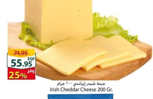  Cheddar Cheese  in Spinneys  in Egypt - Cairo