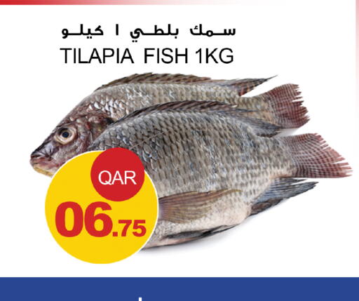    in Aspire Markets  in Qatar - Al Wakra