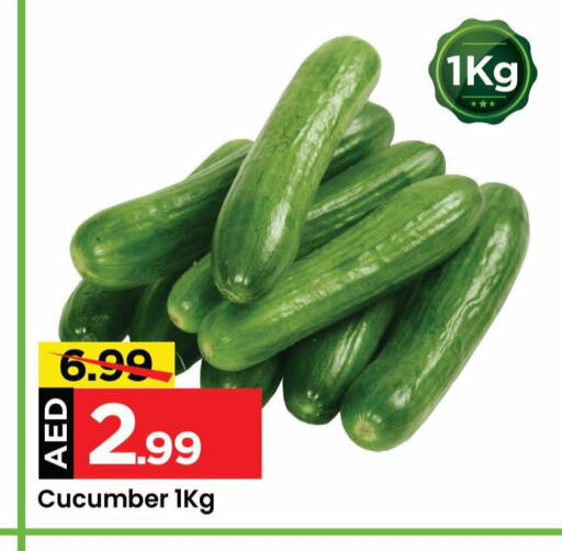  Cucumber  in مارك & سيف in الإمارات العربية المتحدة , الامارات - الشارقة / عجمان