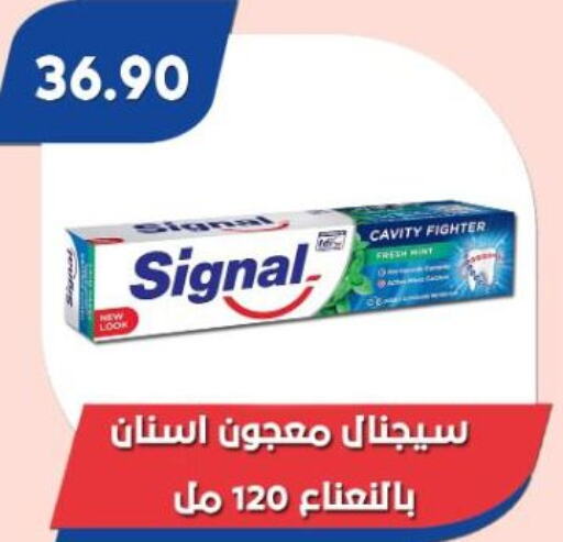 SIGNAL Toothpaste  in Bassem Market in Egypt - Cairo