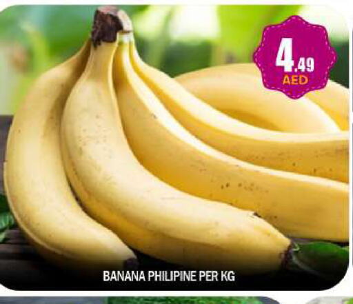  Banana  in BIGmart in UAE - Abu Dhabi