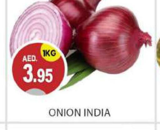  Onion  in TALAL MARKET in UAE - Abu Dhabi