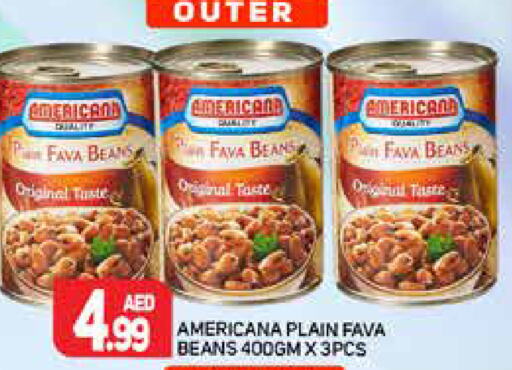 AMERICANA Fava Beans  in Palm Centre LLC in UAE - Sharjah / Ajman