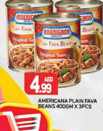 AMERICANA Fava Beans  in Palm Centre LLC in UAE - Sharjah / Ajman