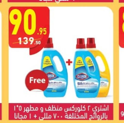 CLOROX General Cleaner  in Mahmoud El Far in Egypt - Cairo