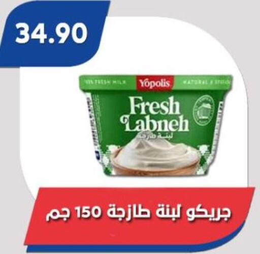 Labneh