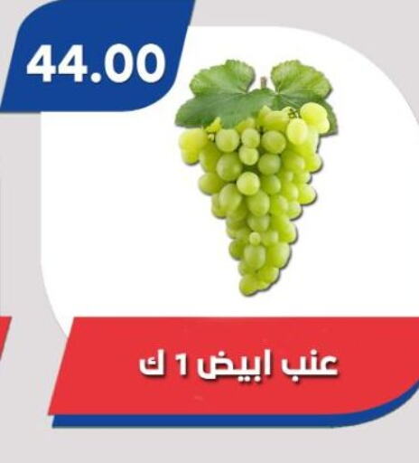  Grapes  in باسم ماركت in Egypt - القاهرة