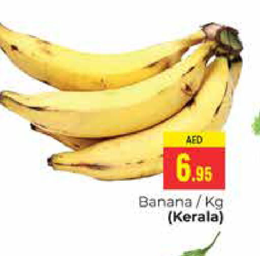  Banana  in PASONS GROUP in UAE - Dubai