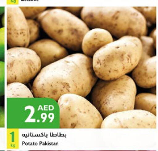  Potato  in إسطنبول سوبرماركت in الإمارات العربية المتحدة , الامارات - أبو ظبي