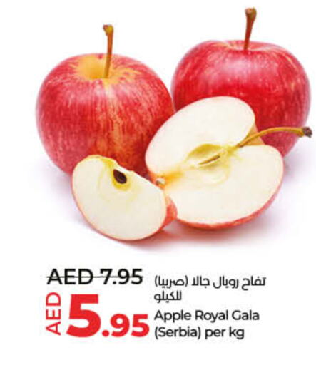  Apples  in Lulu Hypermarket in UAE - Fujairah