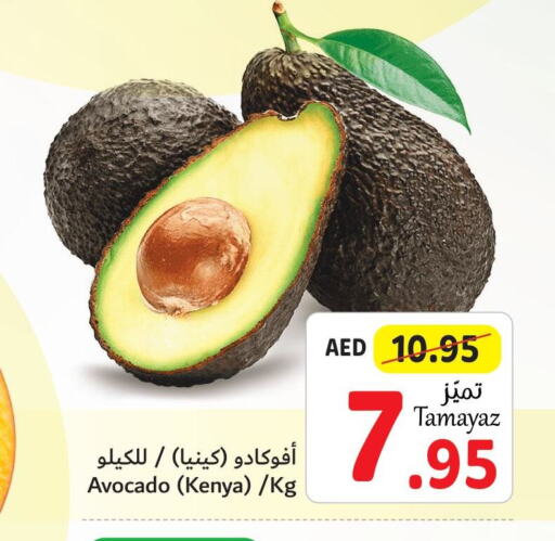  Avacado  in تعاونية الاتحاد in الإمارات العربية المتحدة , الامارات - أبو ظبي