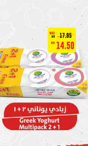  Greek Yoghurt  in Earth Supermarket in UAE - Al Ain