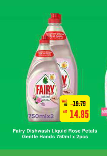 FAIRY   in Earth Supermarket in UAE - Abu Dhabi