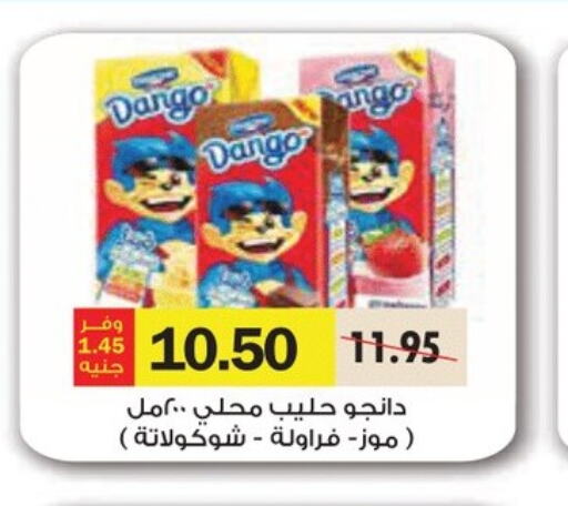 DANGO   in Royal House in Egypt - Cairo