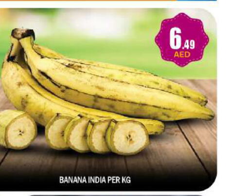  Banana  in BIGmart in UAE - Abu Dhabi