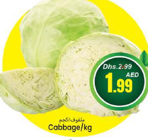  Cabbage  in PASONS GROUP in UAE - Fujairah