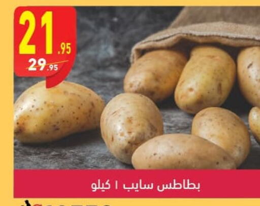  Potato  in محمود الفار in Egypt - القاهرة