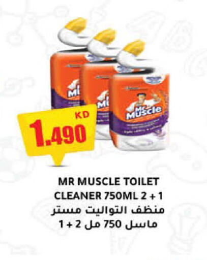 MR. MUSCLE Toilet / Drain Cleaner  in Carrefour in Kuwait - Kuwait City