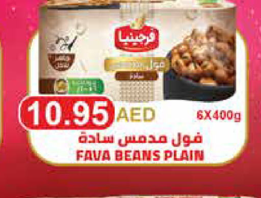  Fava Beans  in ايـــرث سوبرماركت in الإمارات العربية المتحدة , الامارات - ٱلْعَيْن‎