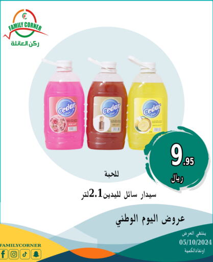    in ركن العائلة in مملكة العربية السعودية, السعودية, سعودية - حائل‎