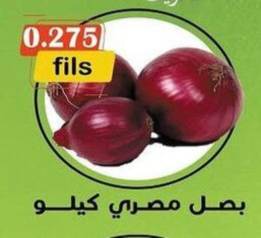  Onion  in جمعية خيطان التعاونية in الكويت - محافظة الأحمدي