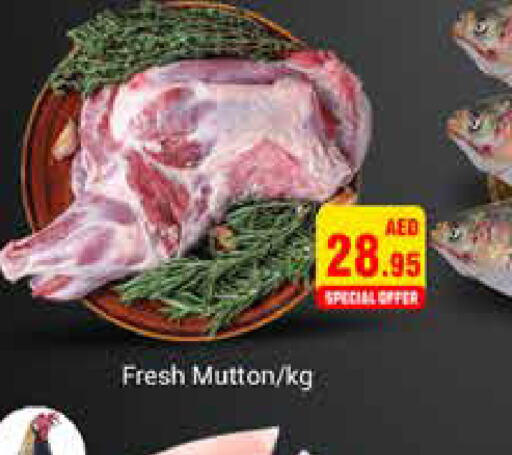  Mutton / Lamb  in PASONS GROUP in UAE - Dubai