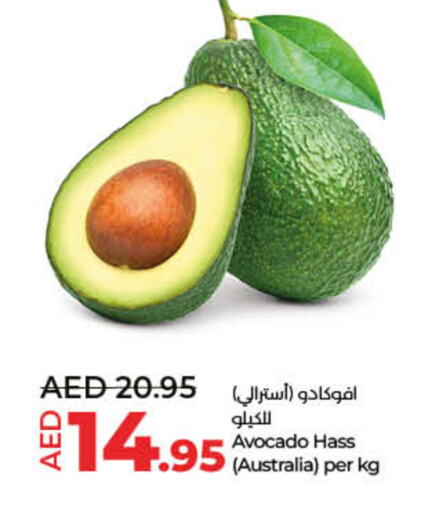  Avacado  in لولو هايبرماركت in الإمارات العربية المتحدة , الامارات - ٱلْفُجَيْرَة‎