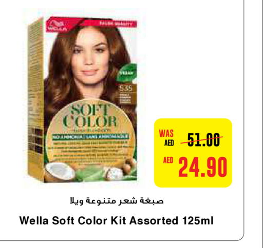 WELLA صبغة شعر  in ايـــرث سوبرماركت in الإمارات العربية المتحدة , الامارات - أبو ظبي