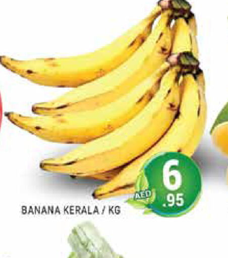  Banana  in PASONS GROUP in UAE - Dubai