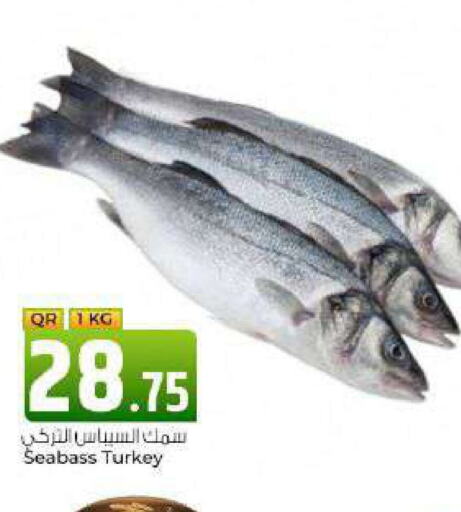    in Rawabi Hypermarkets in Qatar - Al Wakra