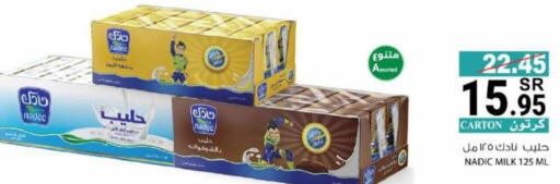 NADEC Flavoured Milk  in House Care in KSA, Saudi Arabia, Saudi - Mecca