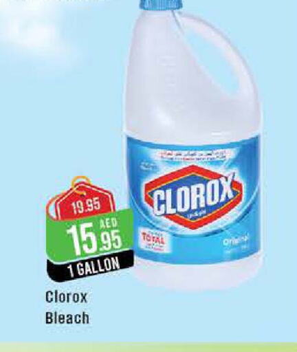 CLOROX مبيض  in ويست زون سوبرماركت in الإمارات العربية المتحدة , الامارات - أبو ظبي