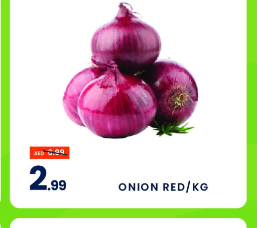  Onion  in MADHOOR SUPERMARKET L.L.C in UAE - Sharjah / Ajman