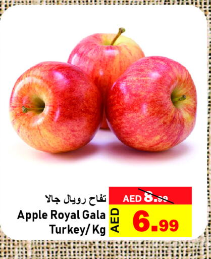  Apples  in الأسواق هايبرماركت in الإمارات العربية المتحدة , الامارات - رَأْس ٱلْخَيْمَة