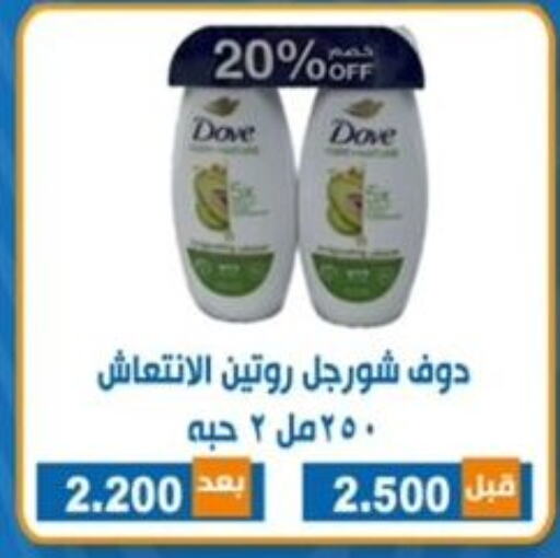 DOVE   in جمعية ضاحية الشهداء التعاونية in الكويت - مدينة الكويت