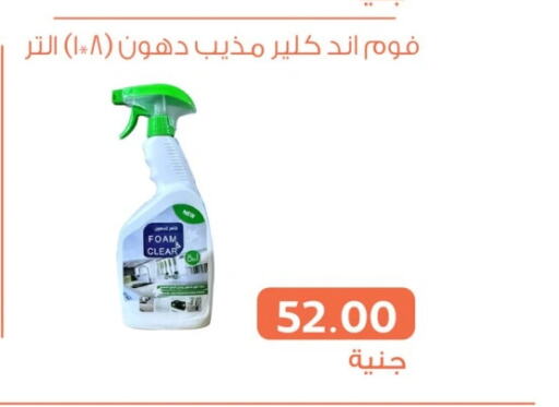  General Cleaner  in Ghallab Market in Egypt - Cairo