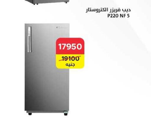  Freezer  in Al Masreen group in Egypt - Cairo