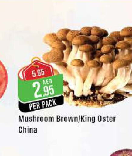  Mushroom  in West Zone Supermarket in UAE - Abu Dhabi