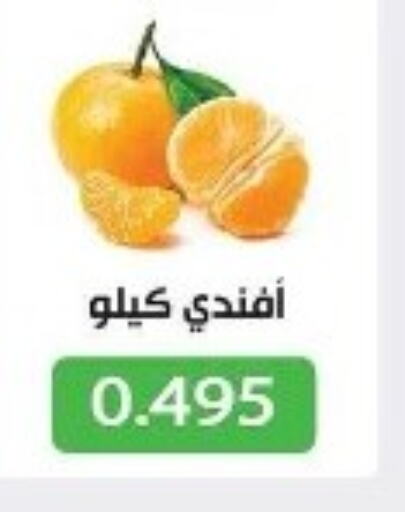  Orange  in Jleeb Coop in Kuwait - Kuwait City