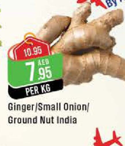  Onion  in West Zone Supermarket in UAE - Abu Dhabi