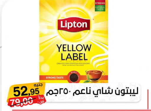 Lipton Tea Powder  in بيت الجملة in Egypt - القاهرة