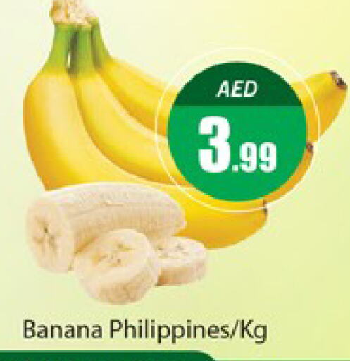  Banana  in Al Madina  in UAE - Dubai