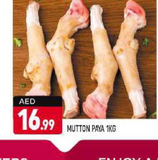  Mutton / Lamb  in Shaklan  in UAE - Dubai