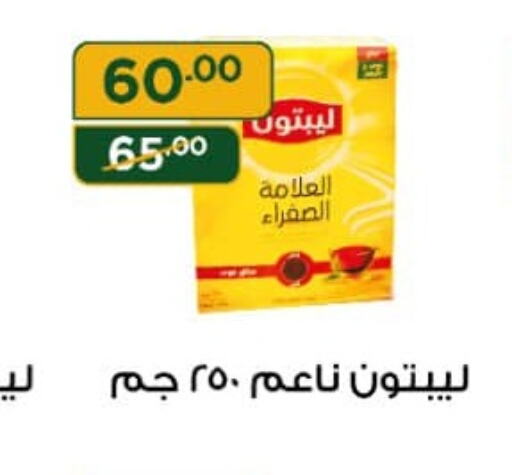 Lipton   in هايبر جبريل in Egypt - القاهرة