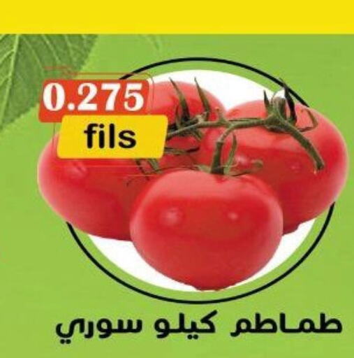  Tomato  in khitancoop in Kuwait - Ahmadi Governorate