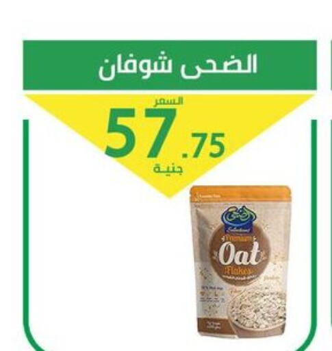  Oats  in Elomda Market  in Egypt - Cairo