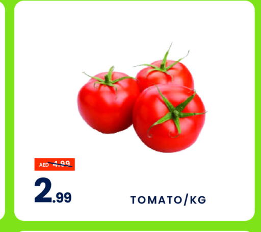  Tomato  in MADHOOR SUPERMARKET L.L.C in UAE - Sharjah / Ajman